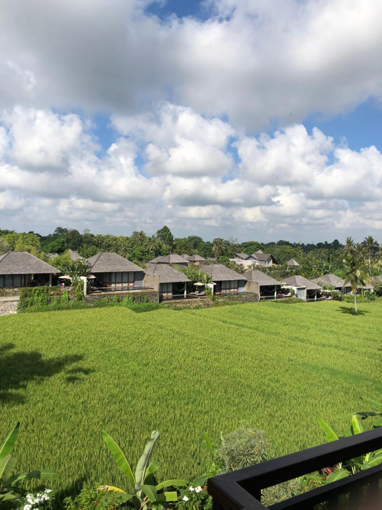 Mira Family Cottages Ubud Exterior foto